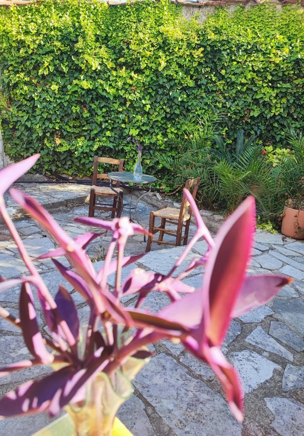 Liakoto Guest House Panayia Bagian luar foto